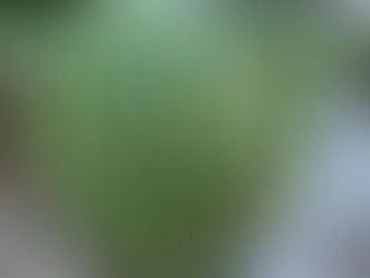 Mundo pra lá de estranho