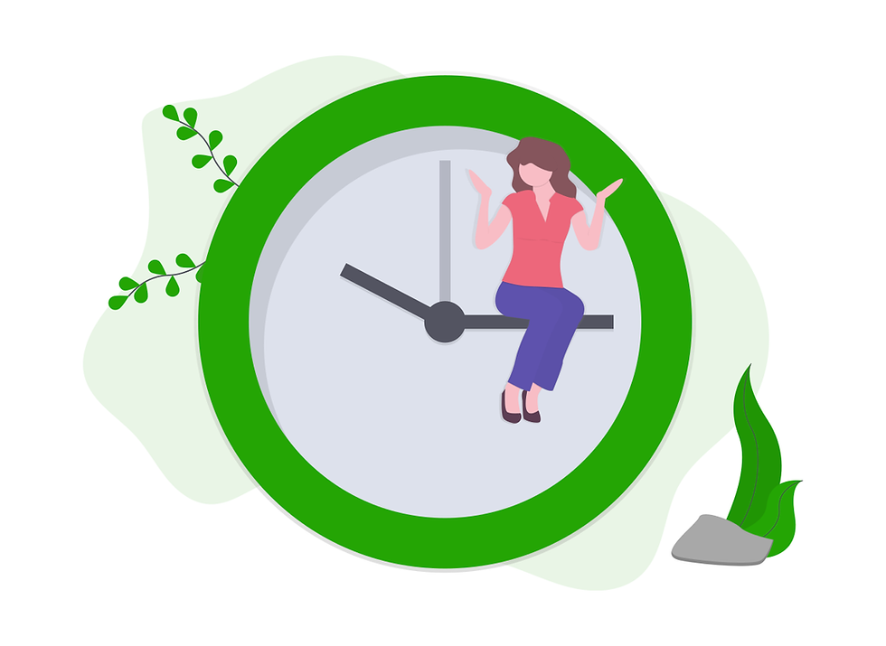 The history of project management