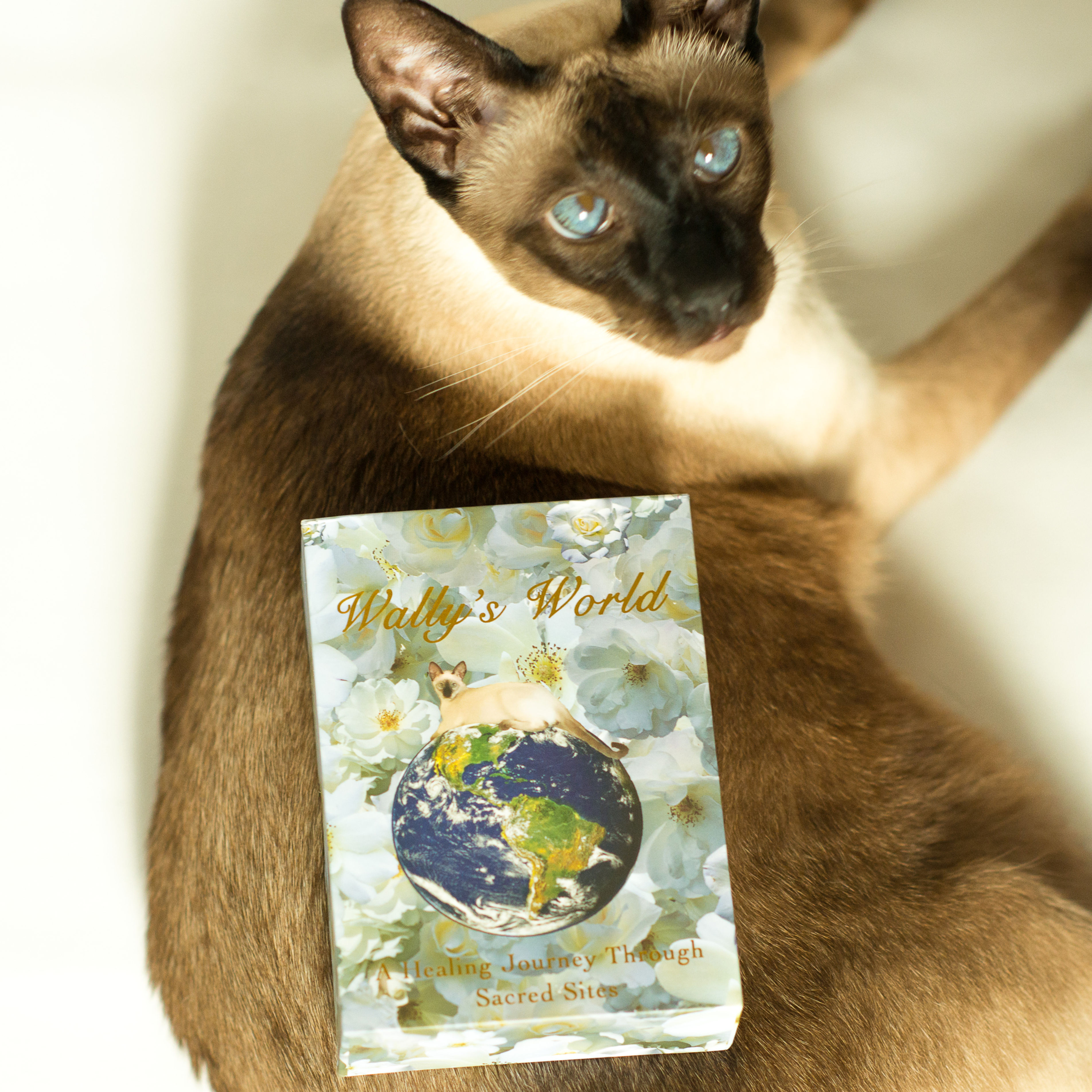 Wally's World Oracle: A Healing Journey Through Sacred Sites