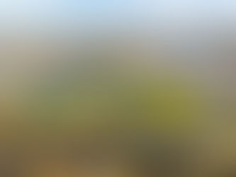 ST. DAVID’S PERFORMANCE CENTER