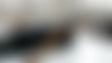 Releasing Stress and Finding Calm: My Journey with the Power of Somatic Breathwork