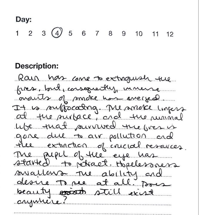 Day 4