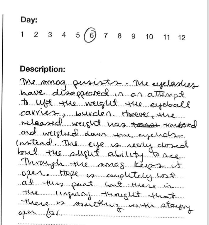 Day 6
