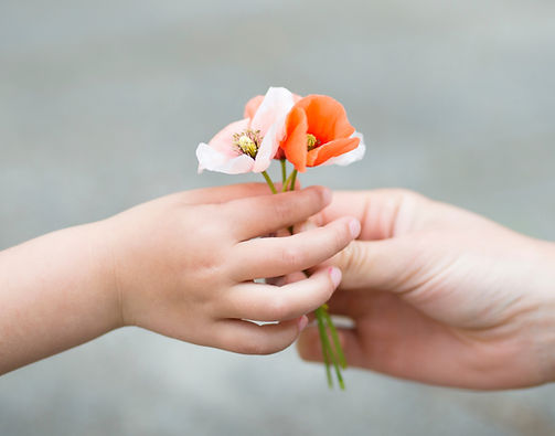 Wild Flowers_edited.jpg