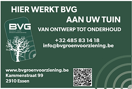 bvg-werfbord.png