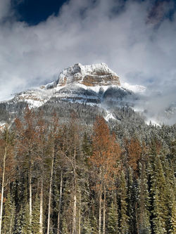Jasper National Park, Canada