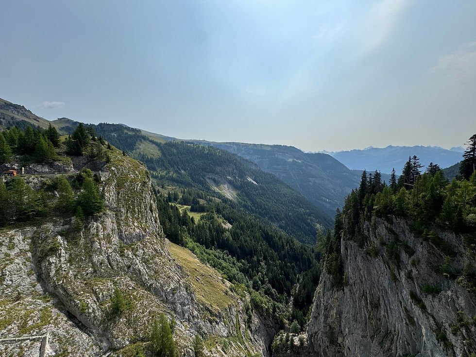 IMG_1886.JPG
