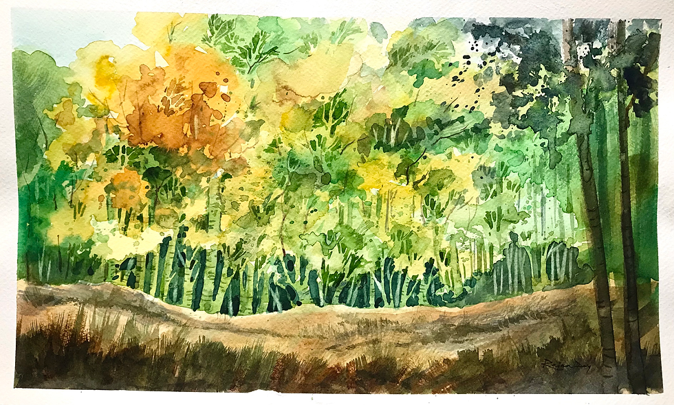 Foliage - 15.8 x 9.8 Inch