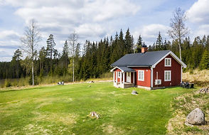 Wald und Jagd in Lövstaholm