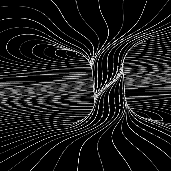 albero tronco digitale