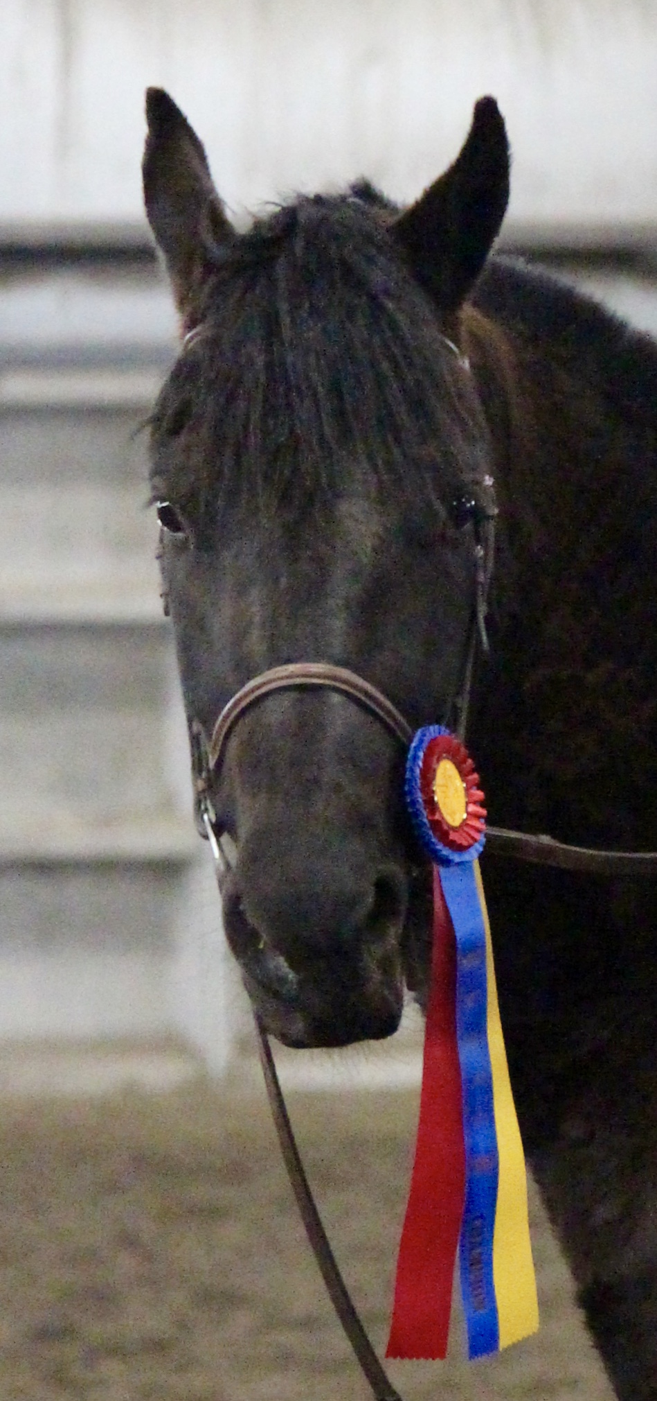 Phantom