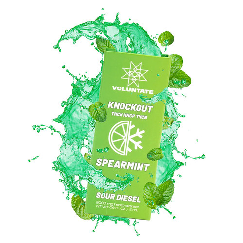 2G Knockout Blend Spearmint Disposable Vape