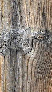 The weathered texture of a fence post