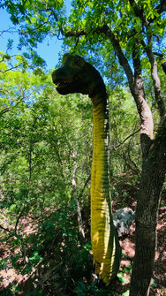 BIOPARQUE Monterrey tour Tours en Monterrey