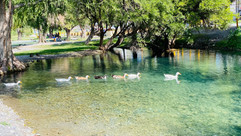 IMG_3569.JPEG