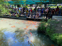 BIOPARQUE Monterrey tour Tours en Monterrey