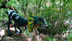 BIOPARQUE Monterrey tour Tours en Monterrey