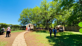 BIOPARQUE Monterrey tour Tours en Monterrey