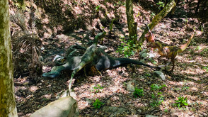 BIOPARQUE Monterrey tour Tours en Monterrey