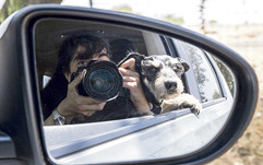 Monterrey tour_ Pet friendly tour_5.jpg