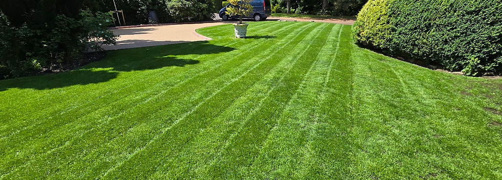 Lawn