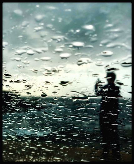 Photography in the Rain by Dianne Brooks