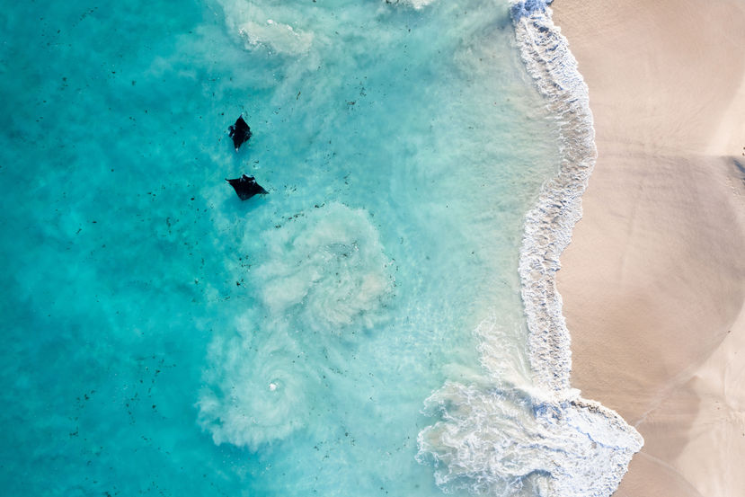 Having spent days scouting the shores of the Ningaloo Reef for manta rays, I managed to spot two beautiful rays in the impossibly lucid shallows just metres from shore.
The rays danced through the turquoise water for hours, their wing-tips coming within metres of the white sands on multiple occasions. I grew up daydreaming of an encounter with these graceful creatures, never did I imagine that I’d be able to swim with them off the beach!