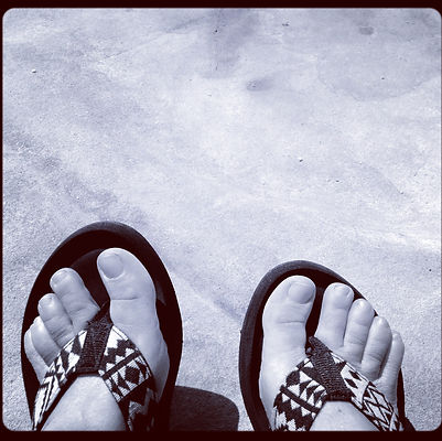 CCP Photo Comp - January - March 2024 - This month's comp is closed please refer to current month's theme