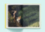 Thumbnail: Aura by Laura Reid