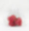 heart-bags3B (1).jpg