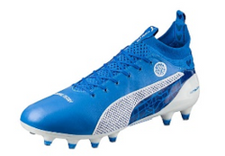 Puma Evotouch