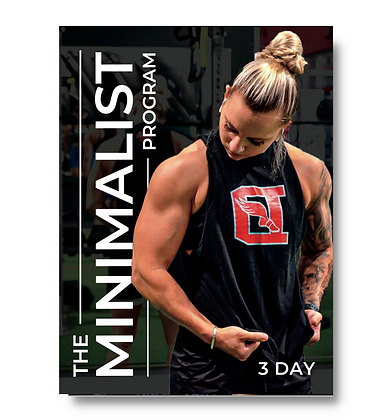 The Minimalist Program - 3 Day