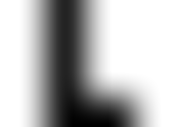 Sobre el lenguaje inclusivo