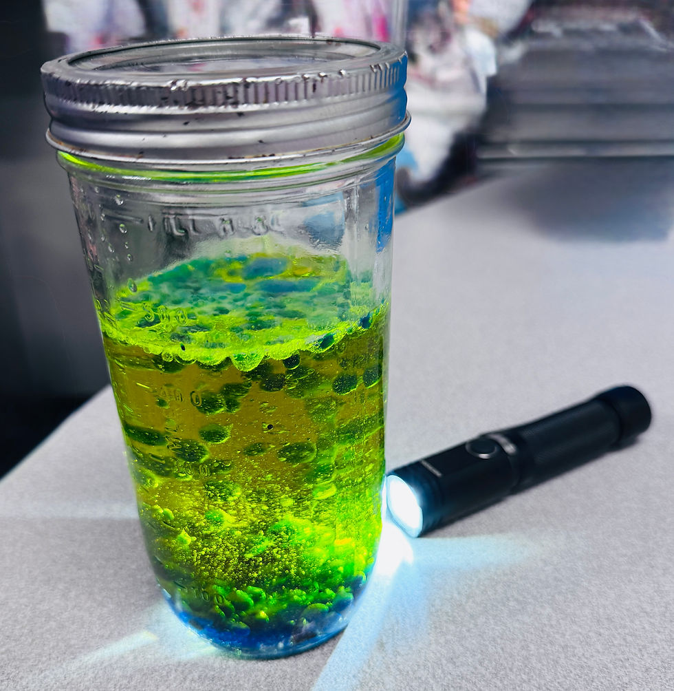 All About Lava Lamps!