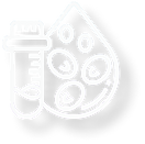 Rectangle 177 (1).png