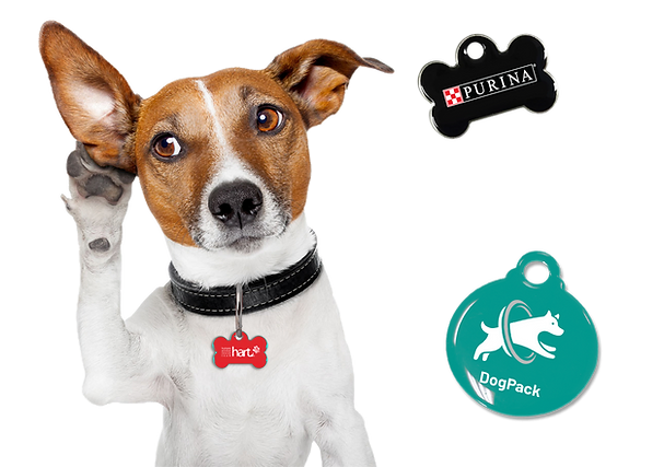 pet-tag.webp