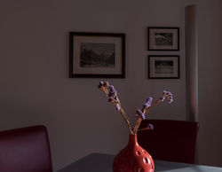 Zuckerhütl_010_Orgler_1