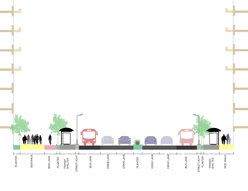 Proposed Wilson Rd. Street Section