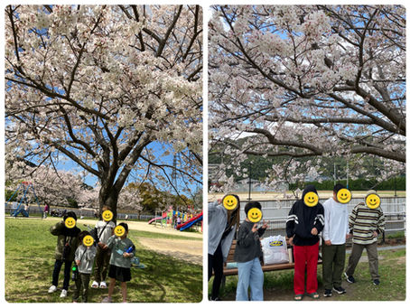 河畔公園🌸