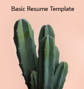 Basic Resume Template