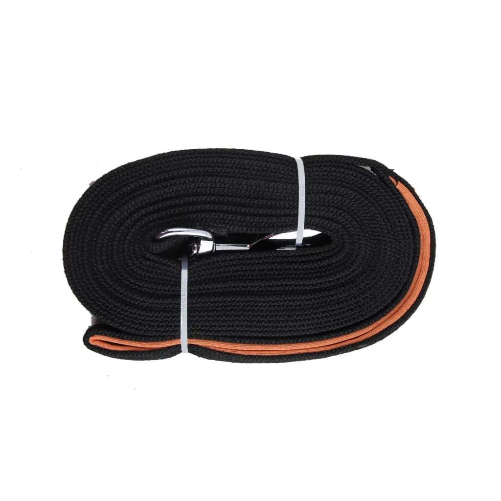 Pawise Long training leash