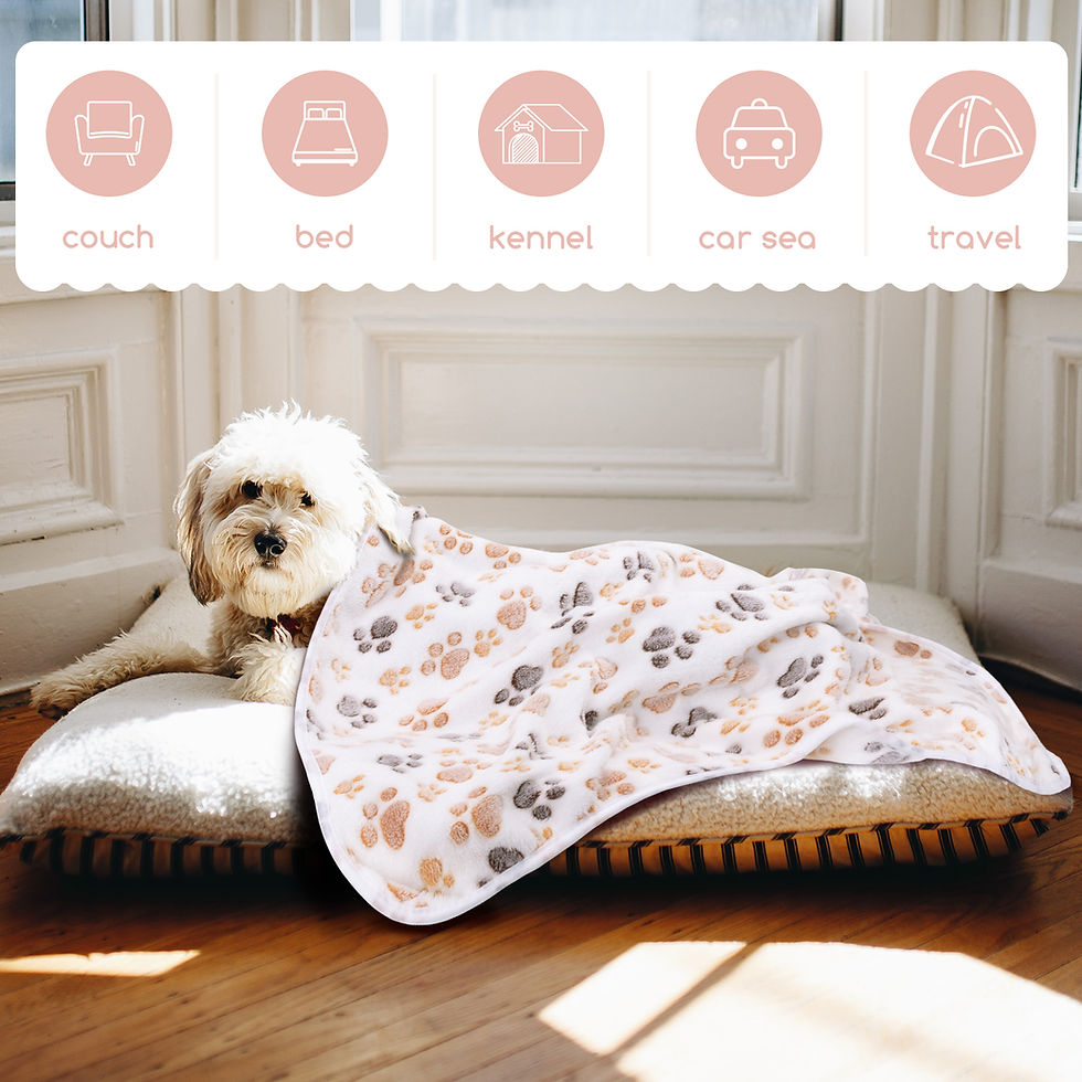 Thumbnail: Nobleza Pet blankets