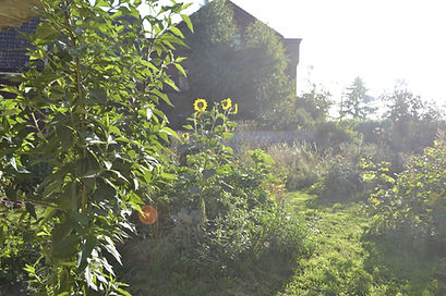 _DSC0007.JPG