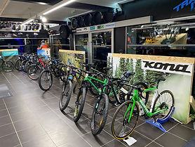 Pedalz Pic.jpeg