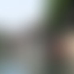 CAROSELLO FOTOGRAFICO INZAGO (ADDA MARTESANA)