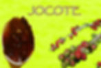 Jocote