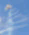 Air Show