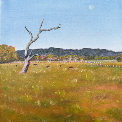 Painting by Melinda Blair Paterson of The Billinudgel flats featuring a dead tree which is pointing at the moon at sunrise.