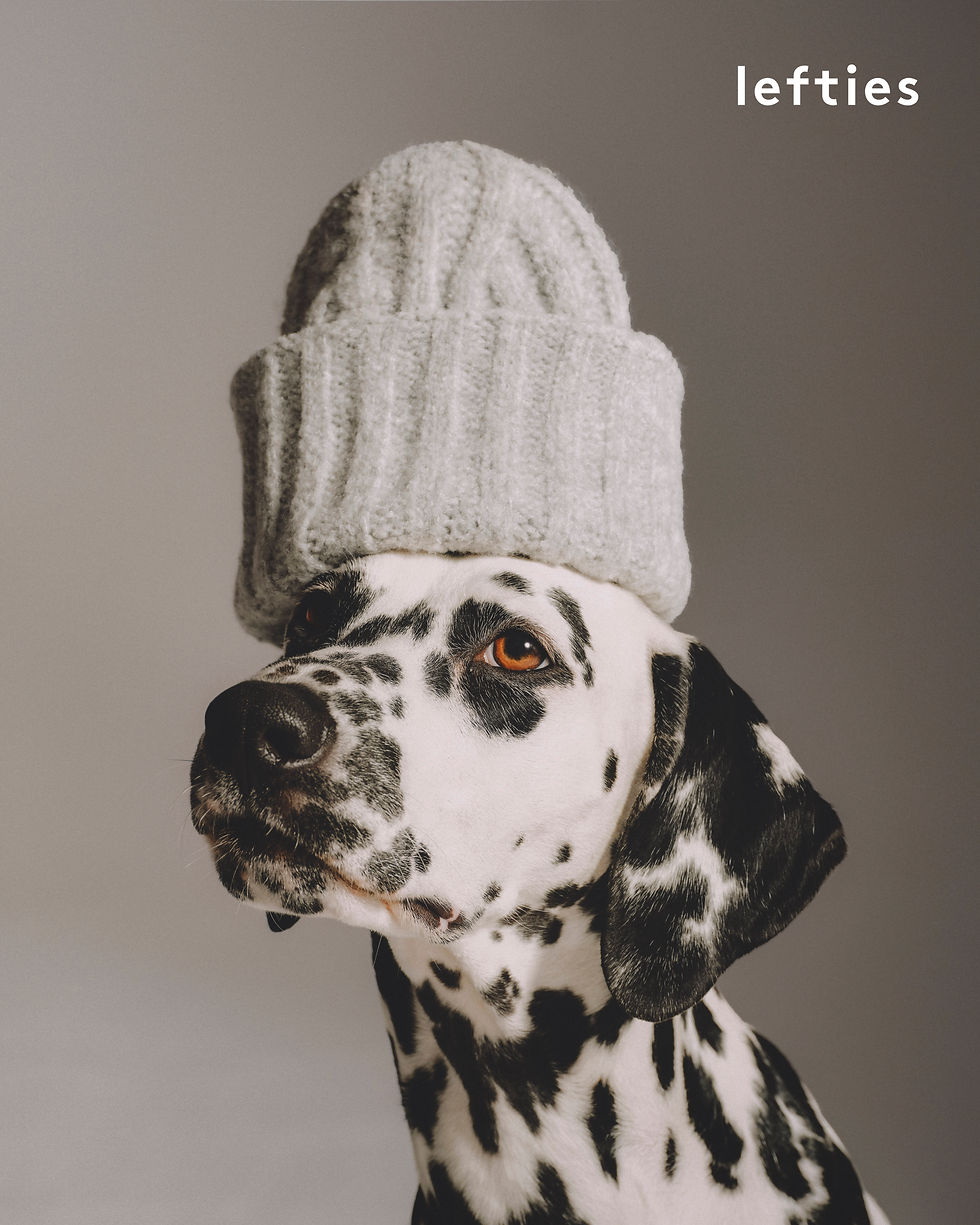 Lefties_M.Surovy_01fin copy