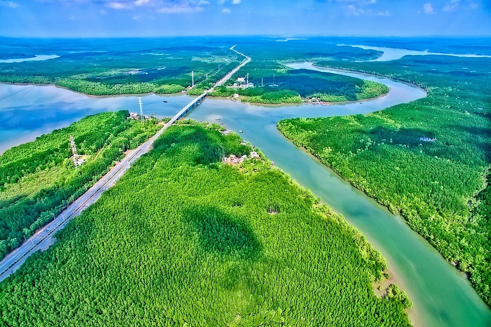 With its carbon credit potential and green finance policies, Can Gio is becoming a model for eco-tourism-driven sustainable development. Image source: Internet